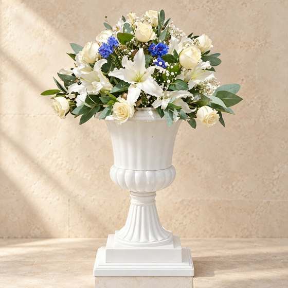 Urna blanca